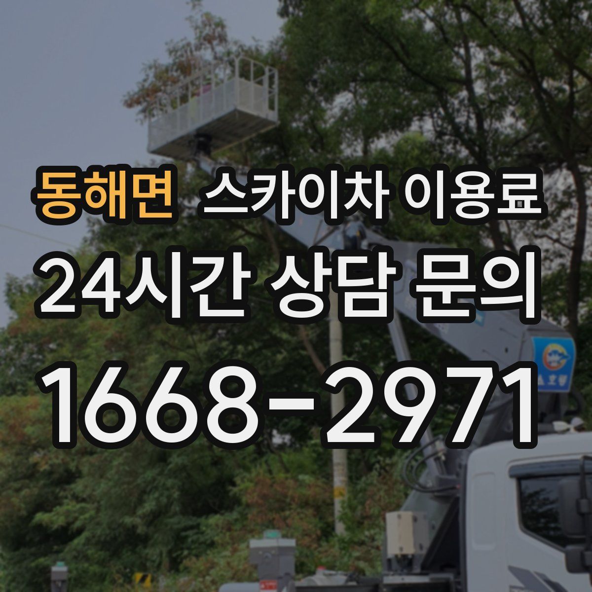 동해면 스카이차 이용료
