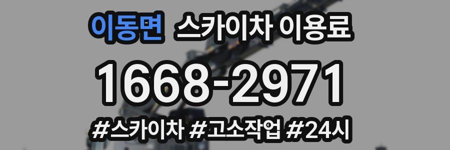 이동면 스카이차 이용료