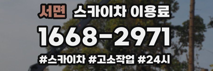서면 스카이차 이용료