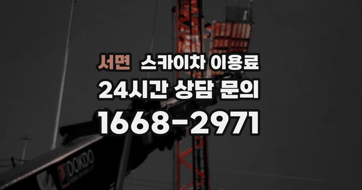 서면 스카이차 이용료