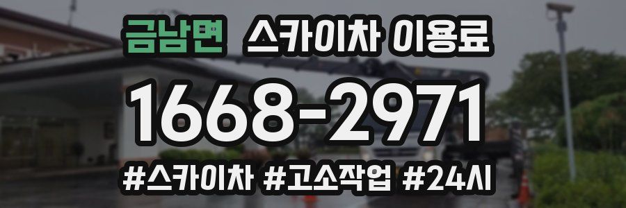 금남면 스카이차 이용료
