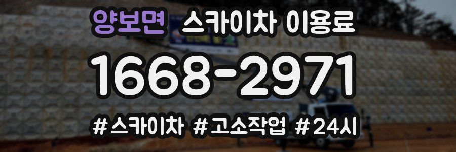 양보면 스카이차 이용료