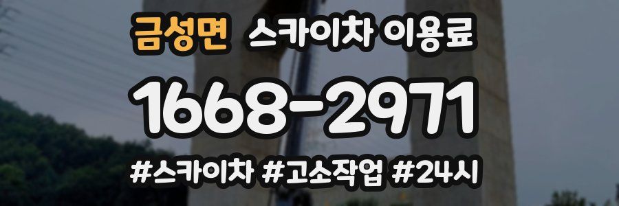 금성면 스카이차 이용료