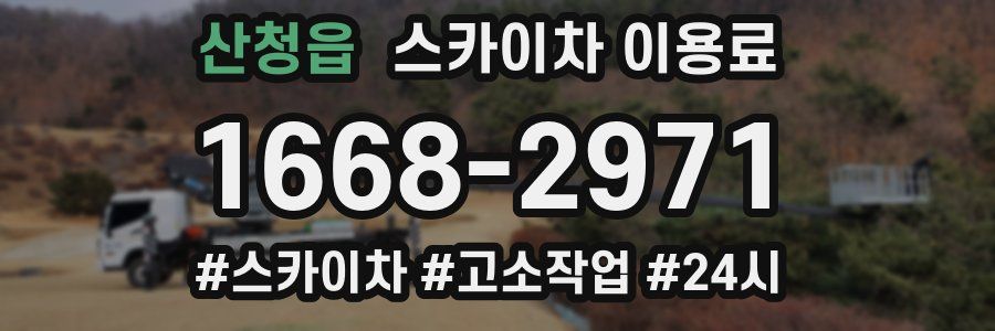 산청읍 스카이차 이용료