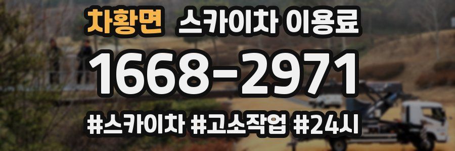 차황면 스카이차 이용료