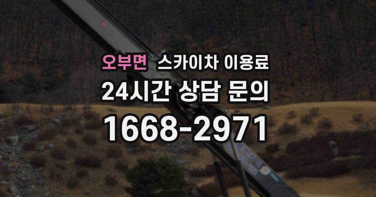 오부면 스카이차 이용료