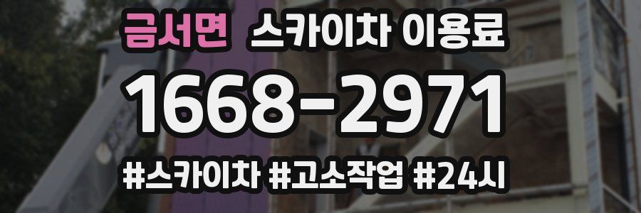 금서면 스카이차 이용료