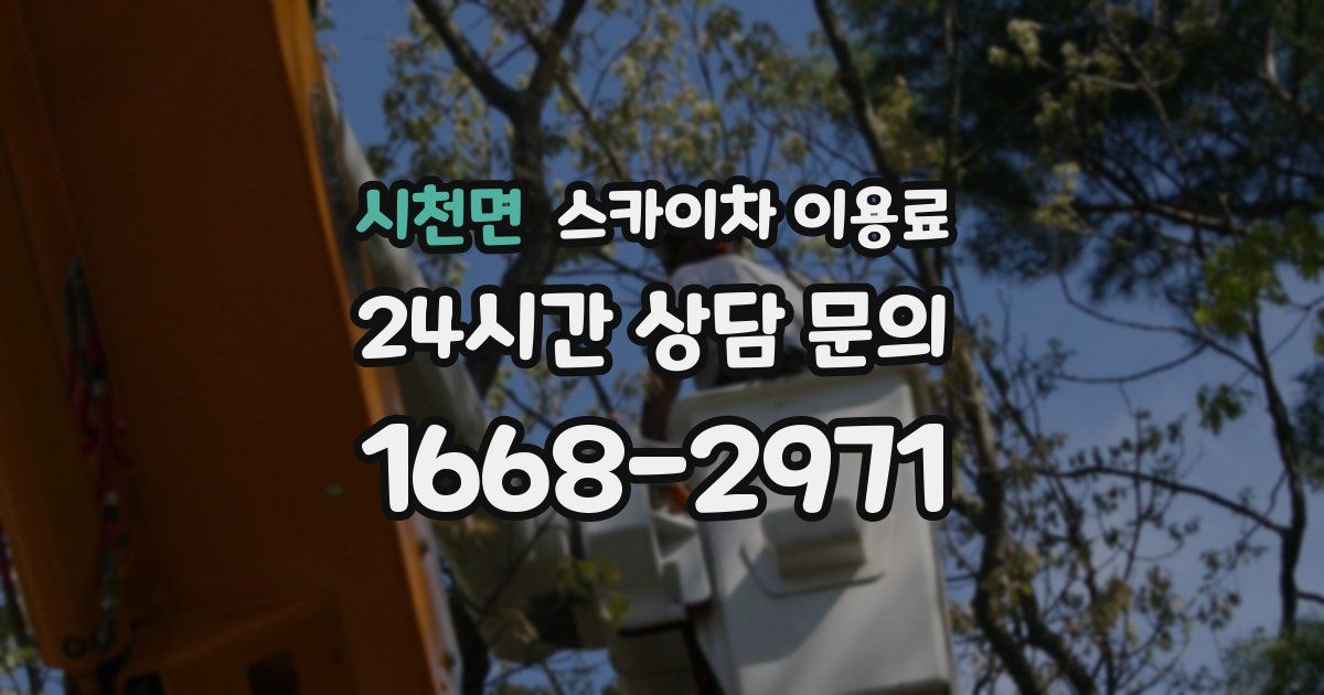 시천면 스카이차 이용료