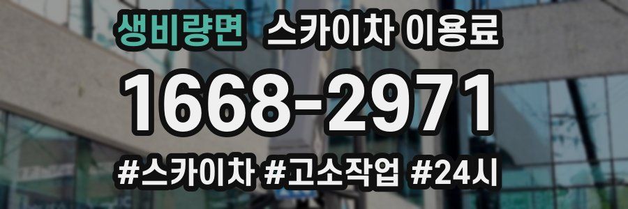 생비량면 스카이차 이용료