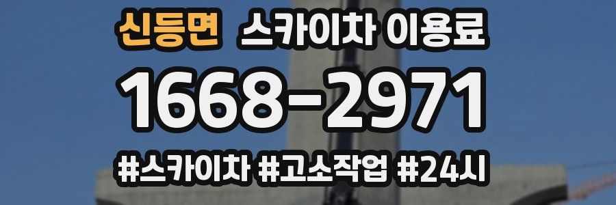 신등면 스카이차 이용료