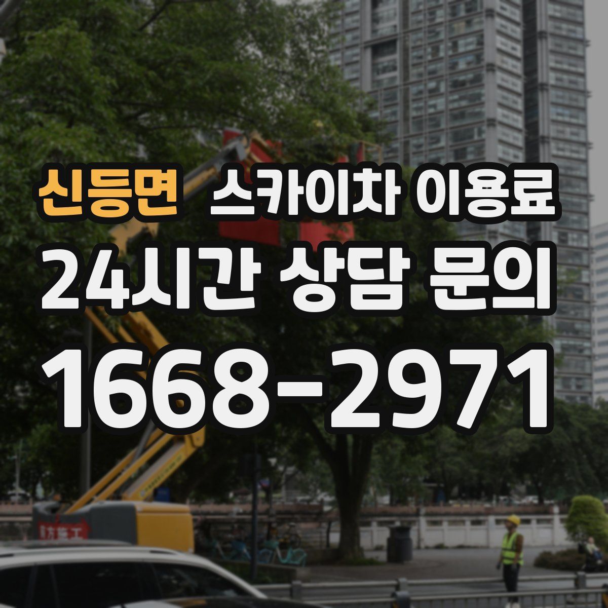 신등면 스카이차 이용료