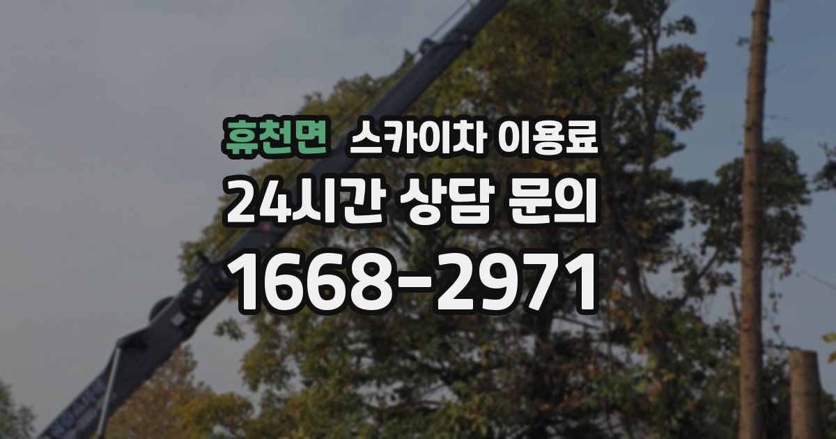 휴천면 스카이차 이용료