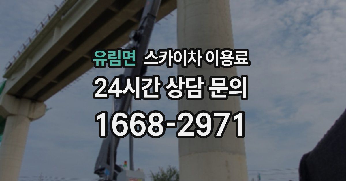 유림면 스카이차 이용료