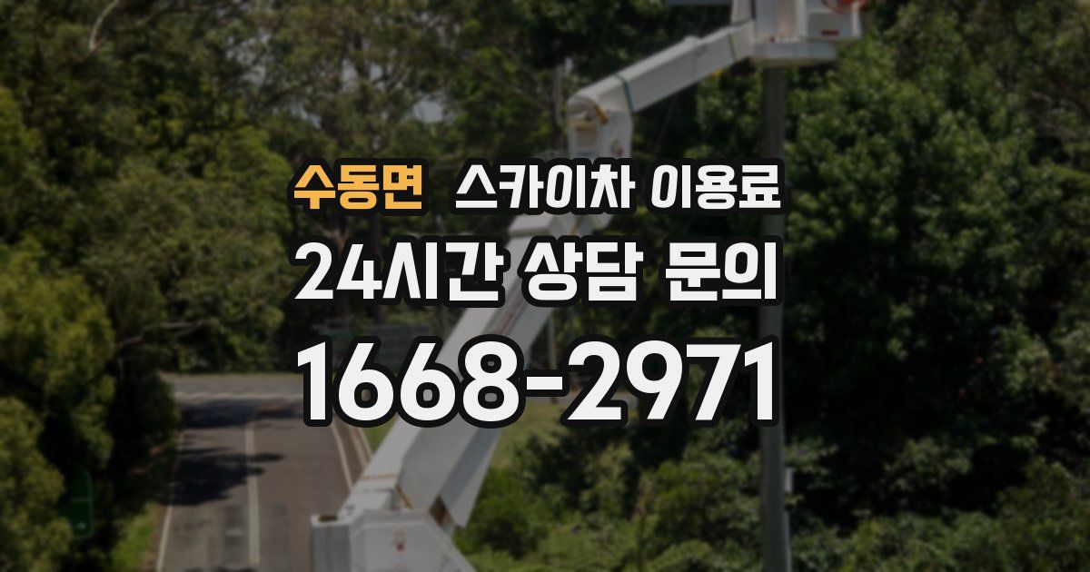 수동면 스카이차 이용료