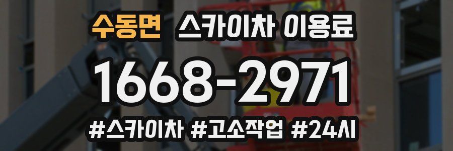 수동면 스카이차 이용료