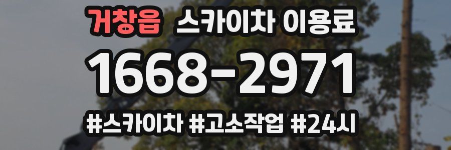 거창읍 스카이차 이용료