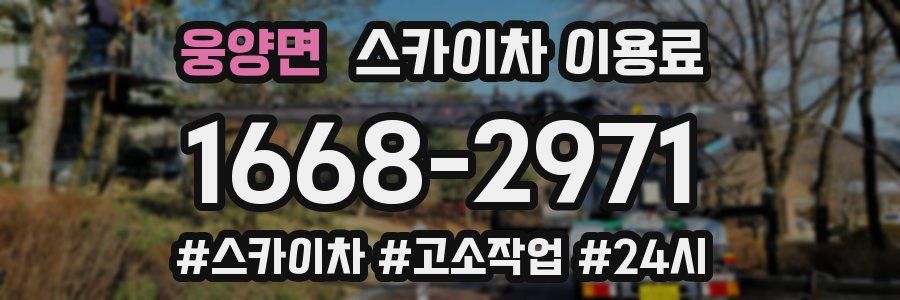 웅양면 스카이차 이용료