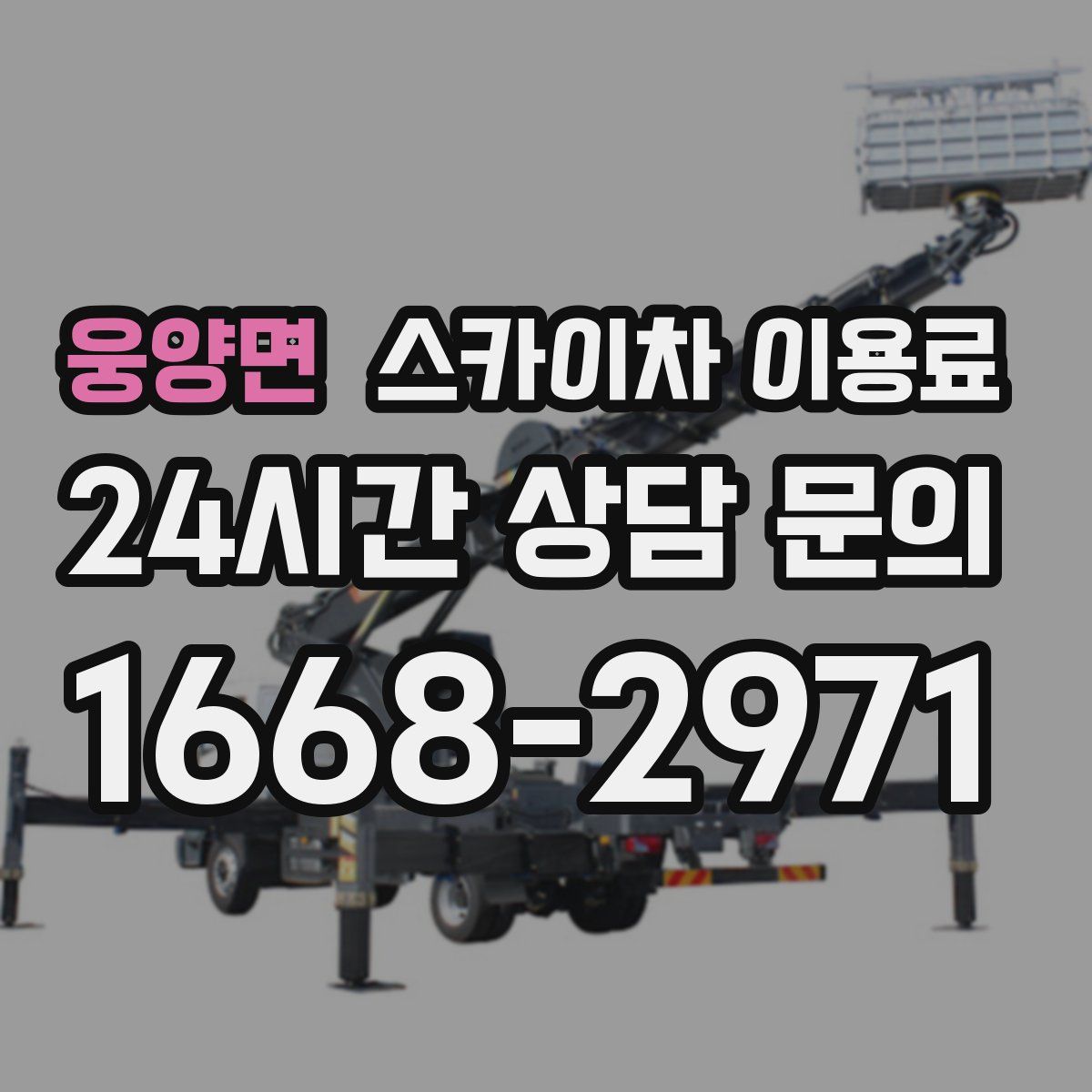 웅양면 스카이차 이용료