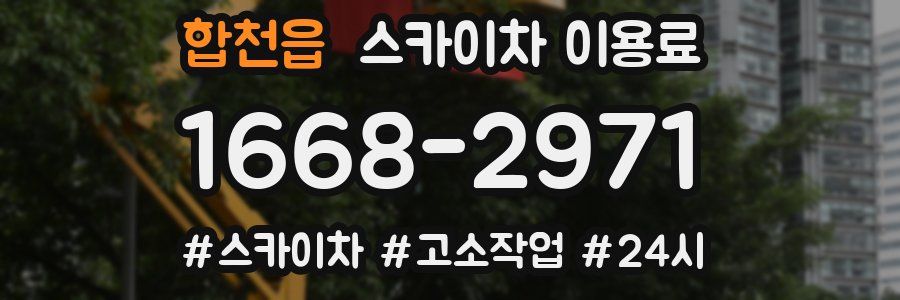 합천읍 스카이차 이용료