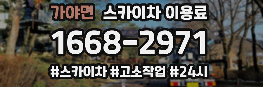 가야면 스카이차 이용료