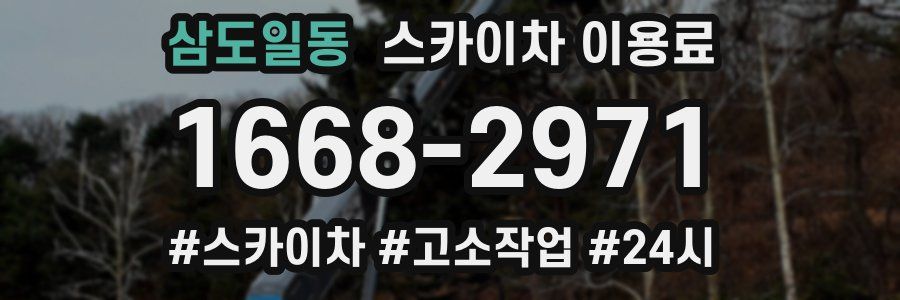 삼도일동 스카이차 이용료