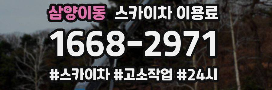 삼양이동 스카이차 이용료