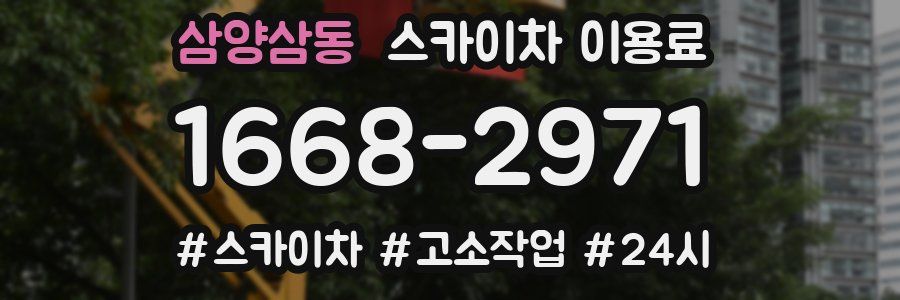 삼양삼동 스카이차 이용료