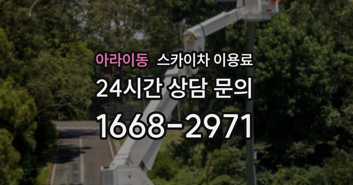 아라이동 스카이차 이용료