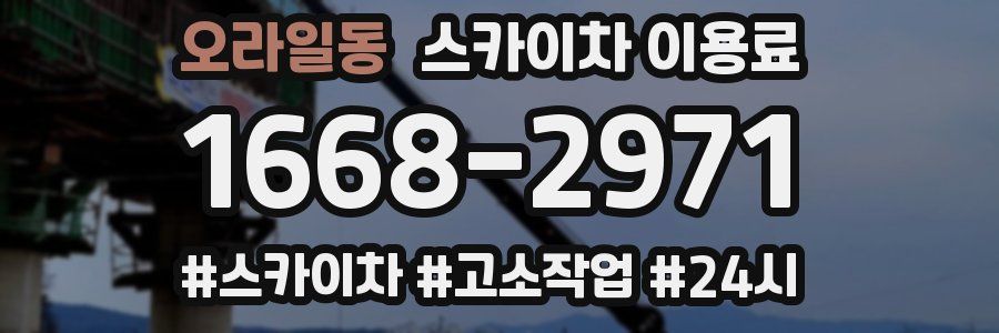 오라일동 스카이차 이용료