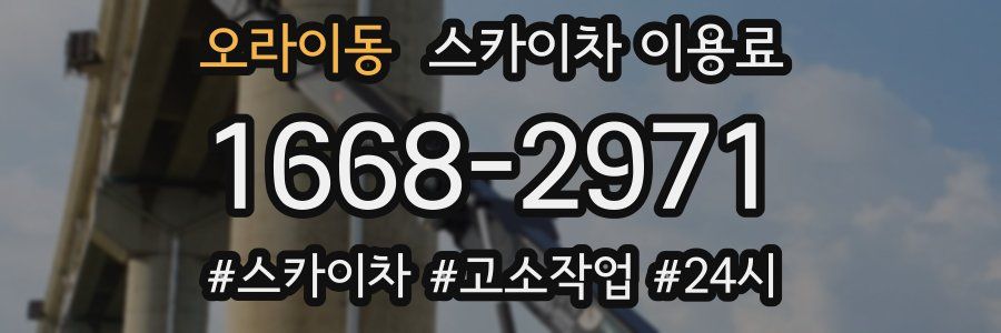오라이동 스카이차 이용료