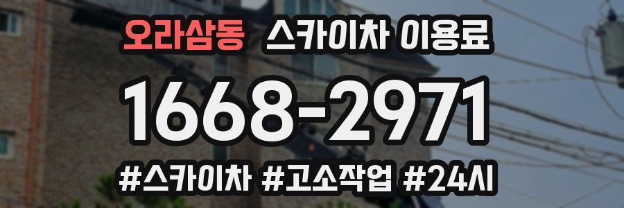 오라삼동 스카이차 이용료