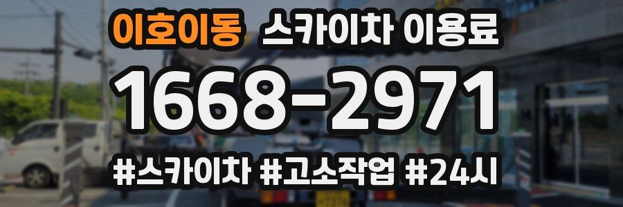 이호이동 스카이차 이용료
