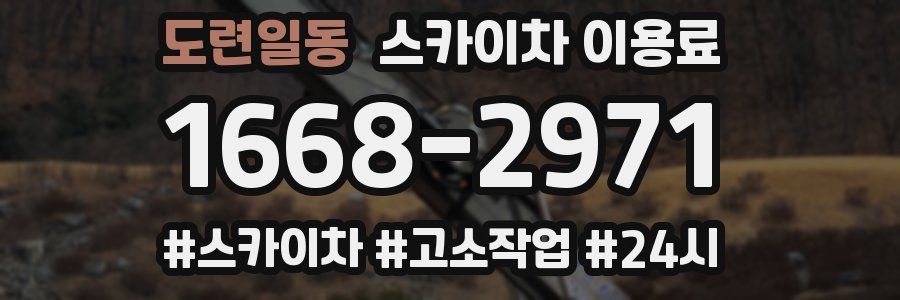 도련일동 스카이차 이용료