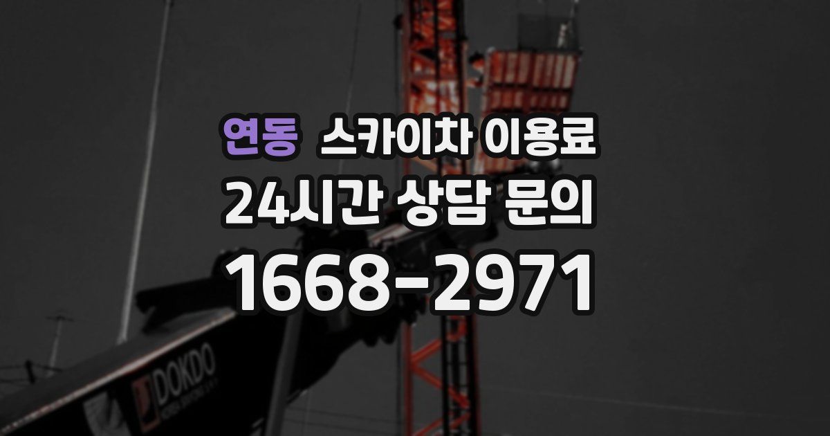 연동 스카이차 이용료