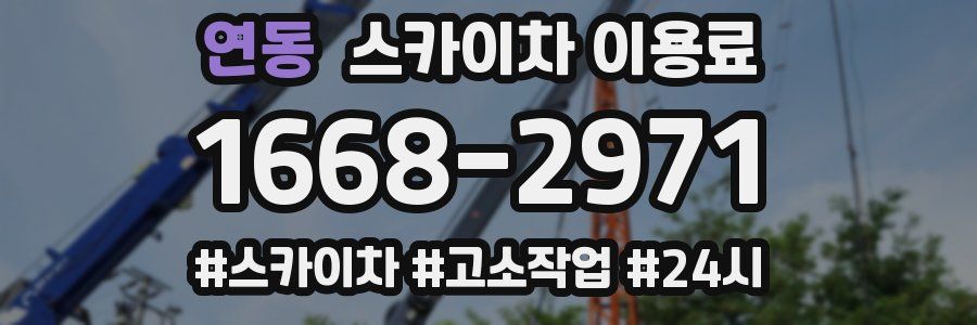 연동 스카이차 이용료