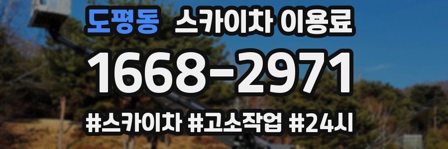 도평동 스카이차 이용료