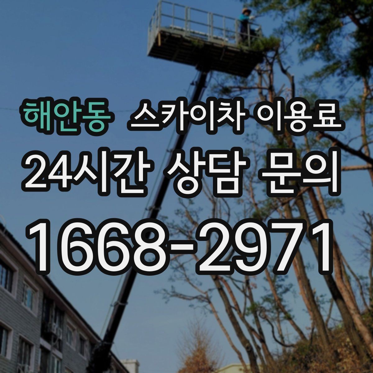 해안동 스카이차 이용료 안내문에서 꼭 봐야 할 항목