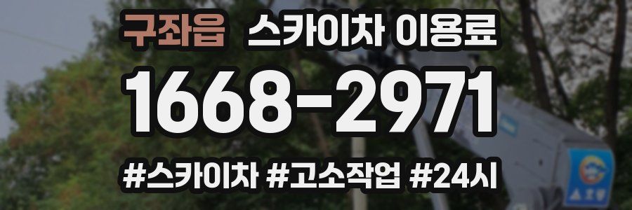 구좌읍 스카이차 이용료