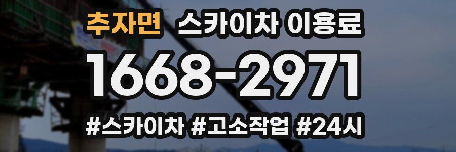 추자면 스카이차 이용료