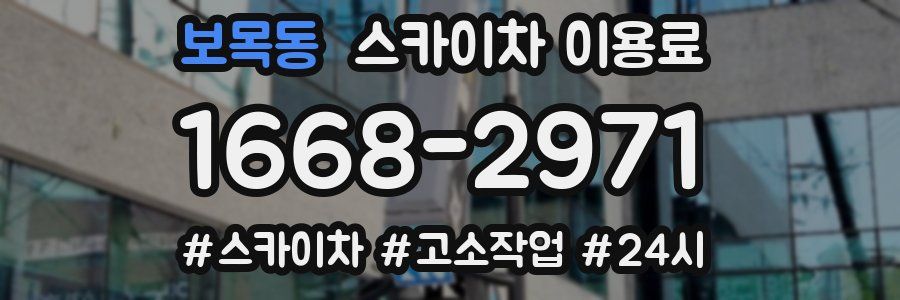 보목동 스카이차 이용료