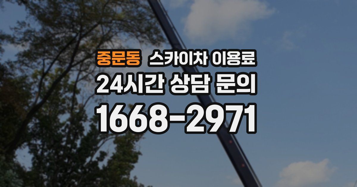 중문동 스카이차 이용료