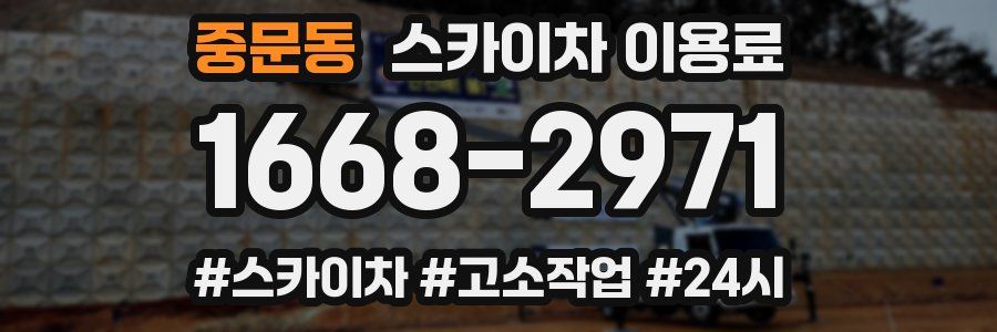 중문동 스카이차 이용료