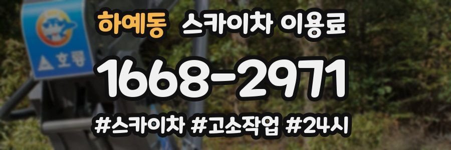 하예동 스카이차 이용료