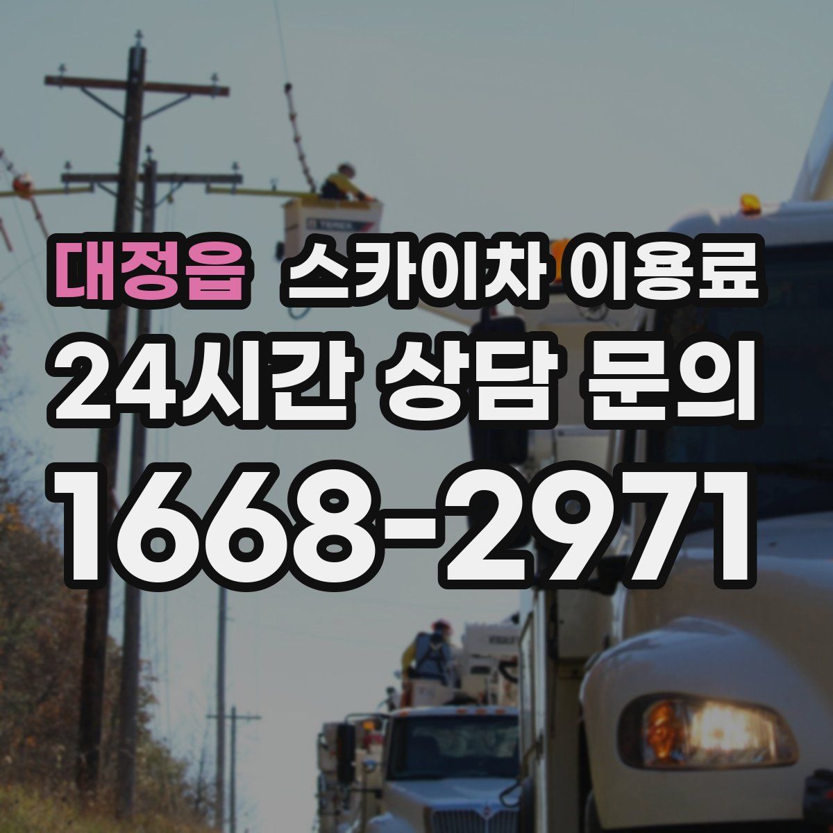 대정읍 스카이차 이용료