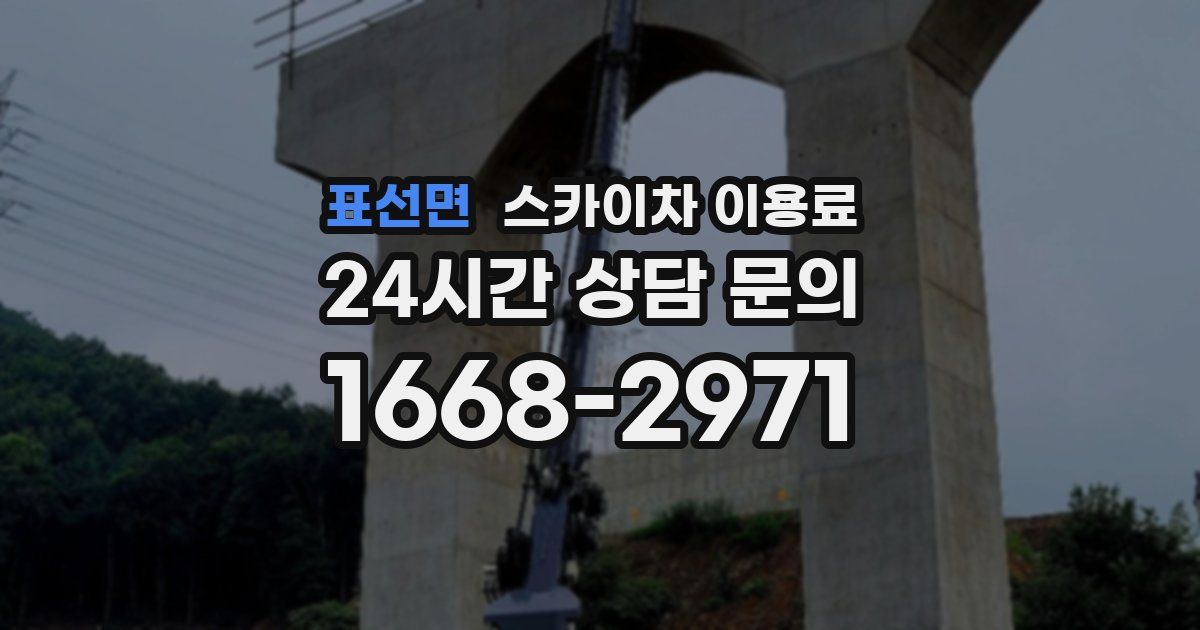 표선면 스카이차 이용료