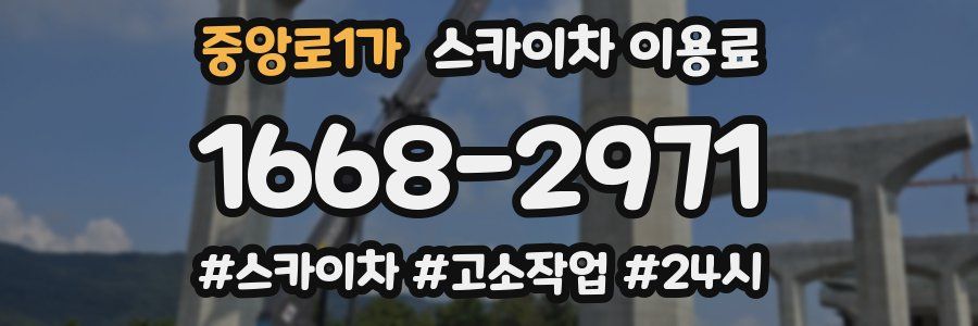 중앙로1가 스카이차 이용료