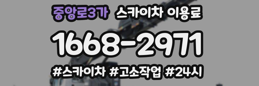중앙로3가 스카이차 이용료