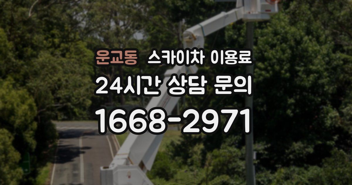 운교동 스카이차 이용료