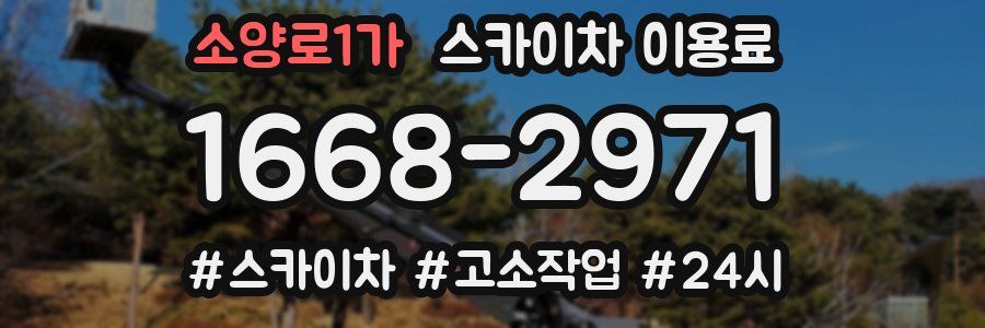 소양로1가 스카이차 이용료