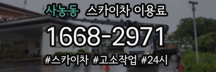 사농동 스카이차 이용료